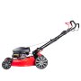 Газонокосилка бензиновая самоходная с двигателем FUBAG Honda FPL 56 SMH в Архангельске фото