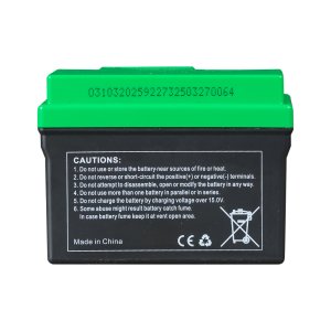 Аккумулятор FUBAG li-ion 3Ah для инверторного генератора TI 11000 A ES (арт. 646211) купить в Архангельске