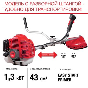 FUBAG Бензиновый триммер FPT 43R + Триммерная леска  сечение витой квадрат L 130 м * 2.4 мм в ПОДАРОК в Архангельске фото